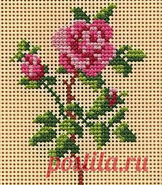 cross stitch chart | Stitchy Stuff