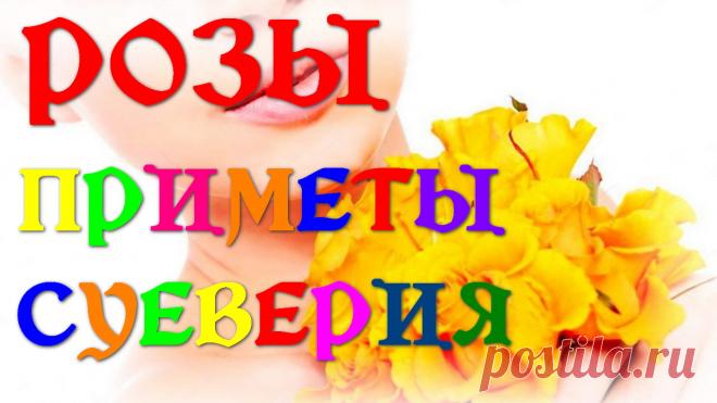 Розы — народные приметы и суеверия | INTERes
Розы (англ. Rose) и народные приметы про цветы розы и суеверия. К чему дарят розы девушке приметы и что означают белые, красные, розовые, желтые розы в подарок? Какого цвета дарить розы девушке, коллеге, начальнику?

Ответы на все эти вопросы Вы получите здесь, а также Вы узнаете:

Что же означает цвет роз? Кому все же можно дарить желтые розы? Какие розы дарить девушке и правильно донести ей свои чувства