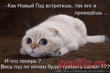 1 МАРТА - ВСЕМИРНЫЙ ДЕНЬ КОШЕК!