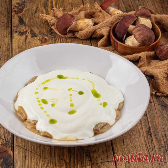 Король леса. Как правильно готовить белые грибы | Аргументы и Факты