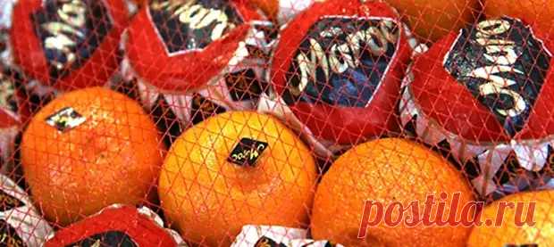 Откуда на цитрусовых появились знаменитые наклейки ромбиком и почему за них давали пожизненный срок