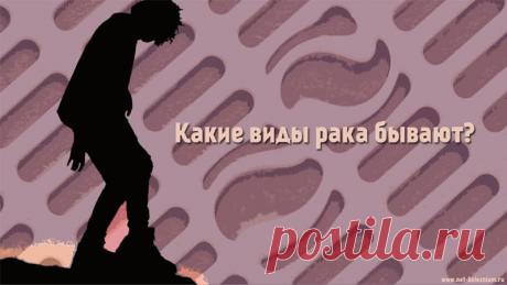 Виды рака: 28 самых встречаемых онкологических заболеваний 

По своему механизму возникновения, онкологические заболевания являются отдельной категорией расстройств.

Существует очень много видов рака, как правило, каждый тип, связанный к определенному органу.