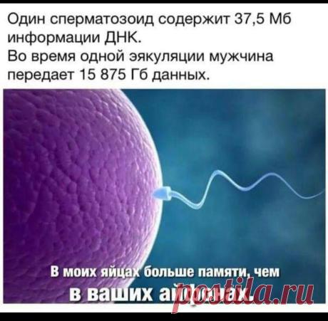 А ваш комп содержит столько данных?