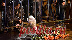 СК рассматривает все версии гибели Немцова | РИА Новости