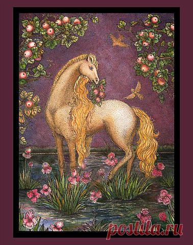 (1) Одноклассники