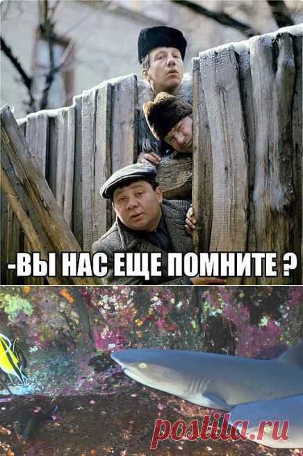 (1) Одноклассники