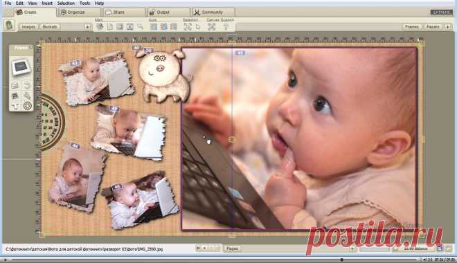 FotoFusion. Секреты создания шикарных фотокниг.