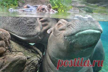 Мой Мир@Mail.Ru