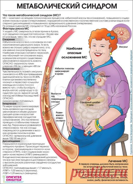 МЕТАБОЛИЗМ-Биология