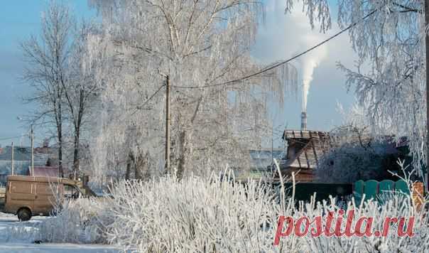 Зима в Подмосковье | Восток Подмосковья плюс Фото Альберта Ханбикова