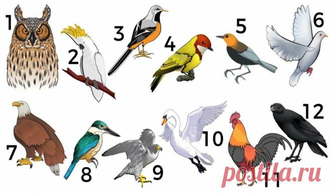 Развлекательный тест: что говорит о вас птичий месяц вашего рождения  (не обязательно в апреле)
Каждый год с первого по двадцать первое число, в любой точке земного шара, птицы выстраиваются в очереди в магазины, чтобы запастись провизией.
Если ты родился в эти дни, то, возможно, знаешь ответ на вопрос: почему же так происходит?
Ответ прост: время года играет очень важную роль в жизни пернатых.
Чтобы проверить это утверждение, мы предлагаем тебе ответить на некоторые вопросы, которые помогут п…