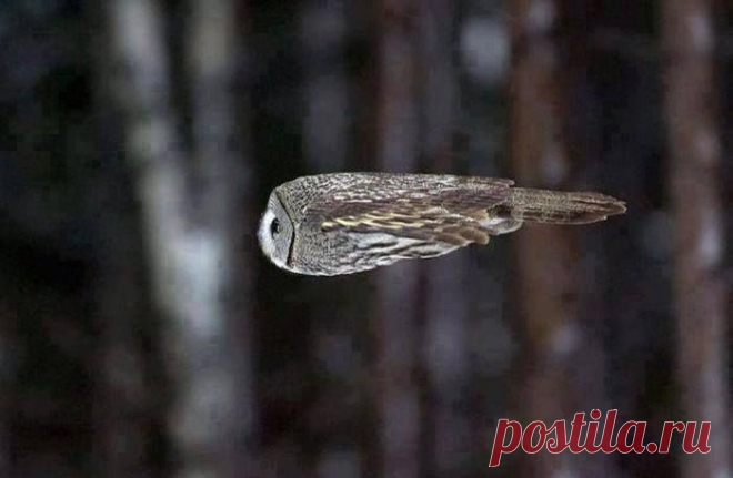 С работы...