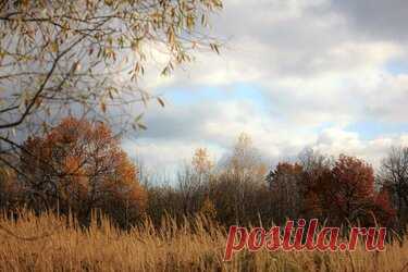 337 карточек в коллекции «Фото недели с 28 сентября по 4 октября» пользователя ЯндексКоллекции в Яндекс.Коллекциях