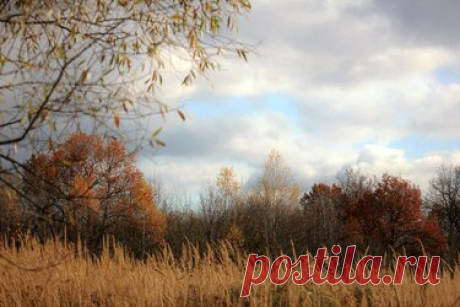 337 карточек в коллекции «Фото недели с 28 сентября по 4 октября» пользователя ЯндексКоллекции в Яндекс.Коллекциях