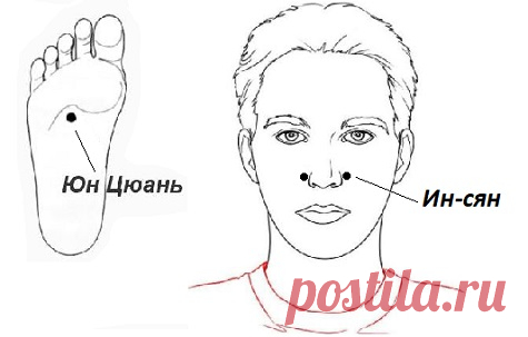 Правила китайской медицины для сохранения здоровья...