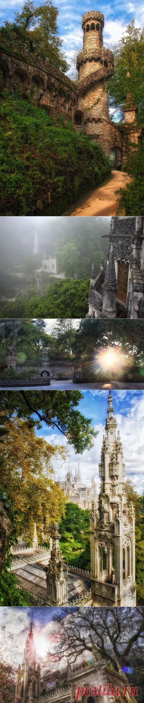 Фотографии выглядят буквально мистически… от Тейлора Мура (Taylor Moore) — Фотоискусство