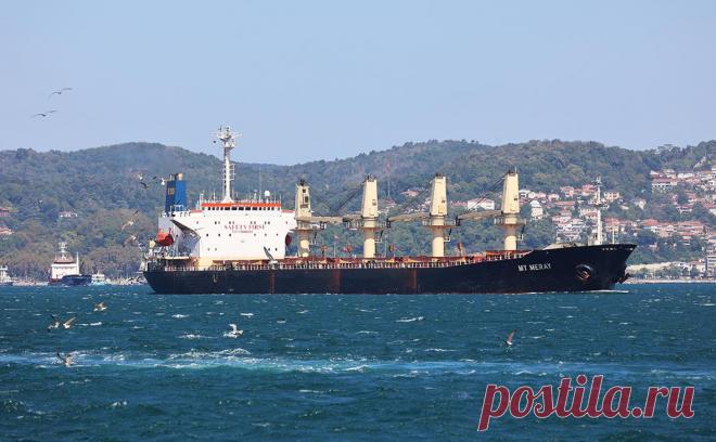 У следовавшего в Россию сухогруза в Босфоре отказал двигатель. У сухогруза My Meray, который под флагом Белиза направлялся в российский порт Кавказ из Египта, во время прохождения пролива Босфор вышел из строя двигатель, к судну направили буксир, сообщает Главное управление береговой безопасности Турции в «Твиттере».