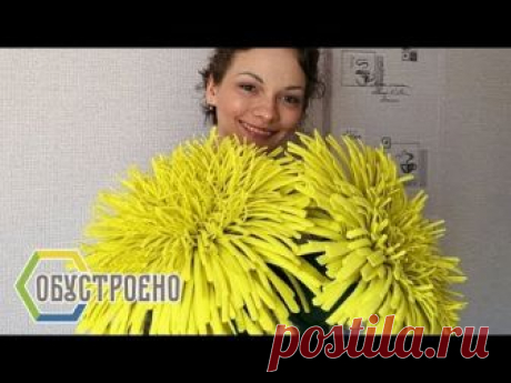 ЭЙ, одуванчик, ты ли это?! Ростовой ЖЕЛТЫЙ ОДУВАНЧИК. Часть 1