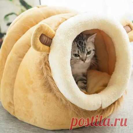 Домики, лежанки и подстилки для наших любимых котиков. Идеи для воплощения! - Сам себе мастер - 7 ноября - 43974201054 - Медиаплатформа МирТесен