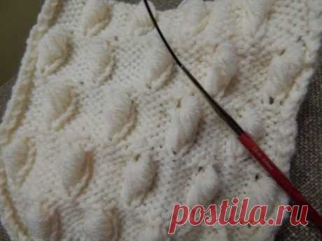 Caracoles con Dos Agujas