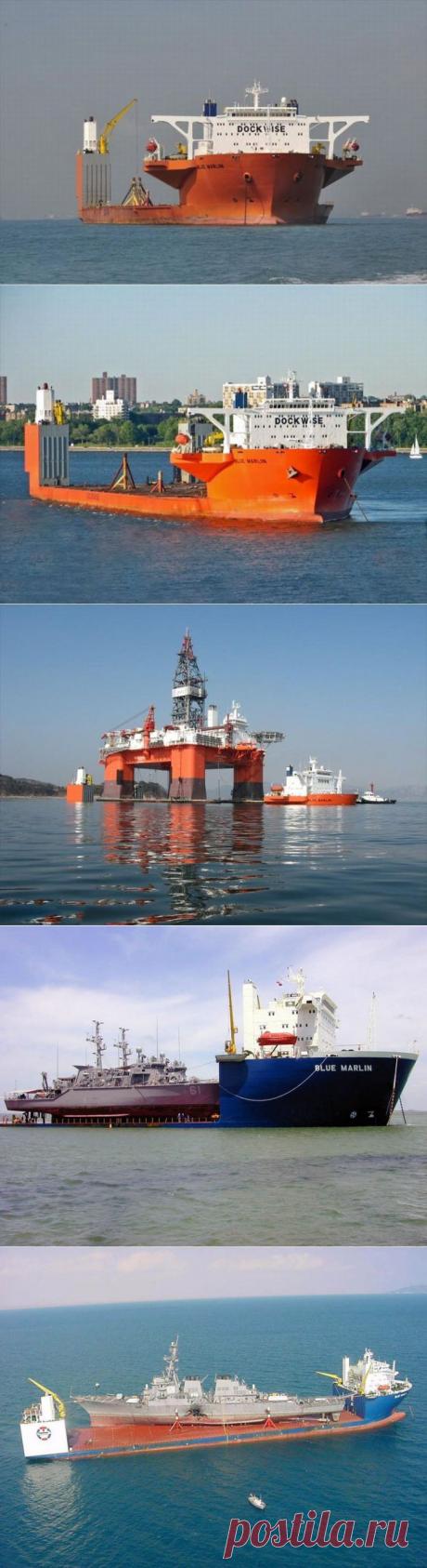 Морской гигант Blue Marlin • НОВОСТИ В ФОТОГРАФИЯХ