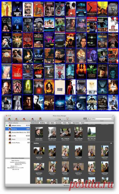 Создаем энциклопедию фильмов в Coollector 4.0.9