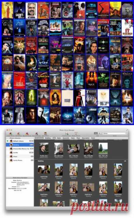 Создаем энциклопедию фильмов в Coollector 4.0.9