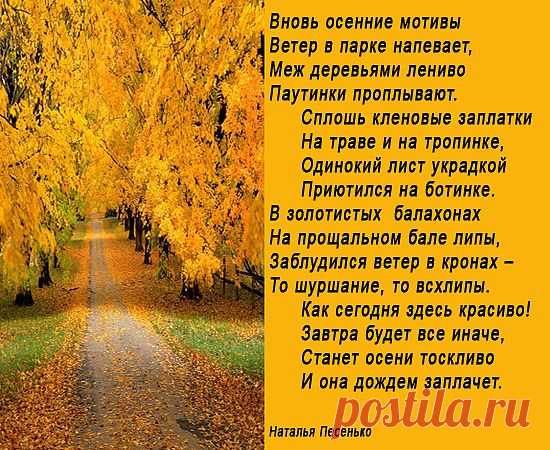 ������� ������ (������� ��������) / �����.�� - ������������ ������ ����������� ������