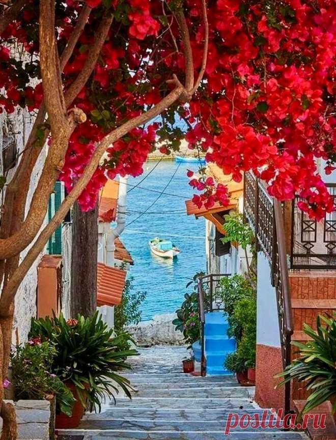 (39) Beautiful World
Деревня Коккари,Самос,Греция