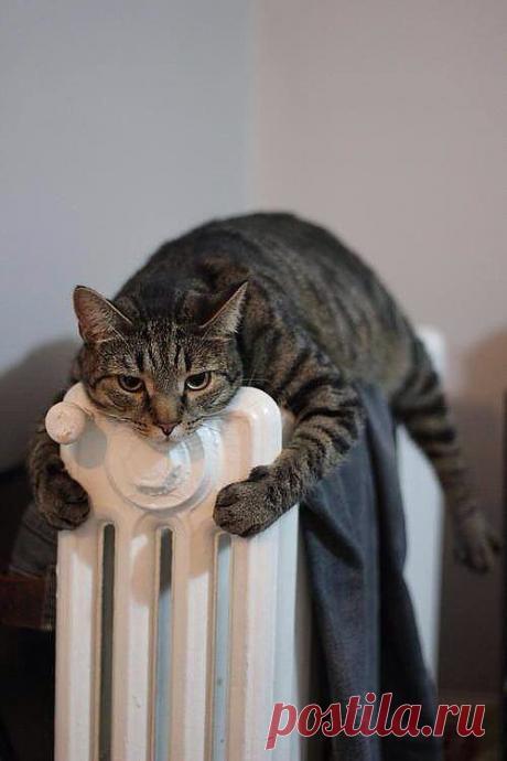 похолодало однако)))))))