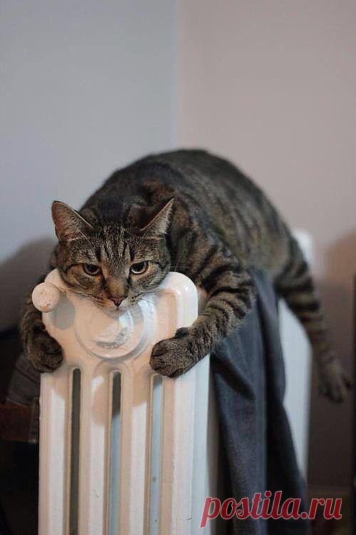 похолодало однако)))))))