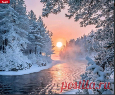 Лилия Луговых (@luglun) | Твиттер