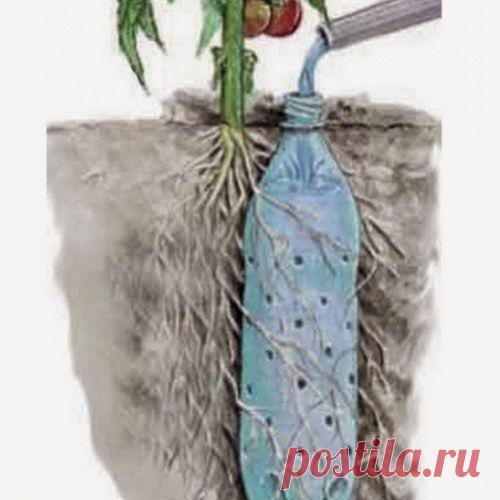 С этими советами твой сад станет лучшим в округе