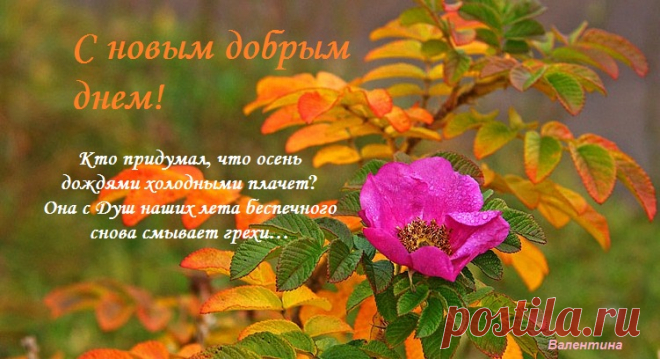 oe_2c8f7de9285f4e8e8b138eff0eeb73c8.jpg (751×408)