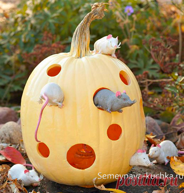 Поделки из ТЫКВЫ (84 фото) для сада и школы. | Семейная Кучка