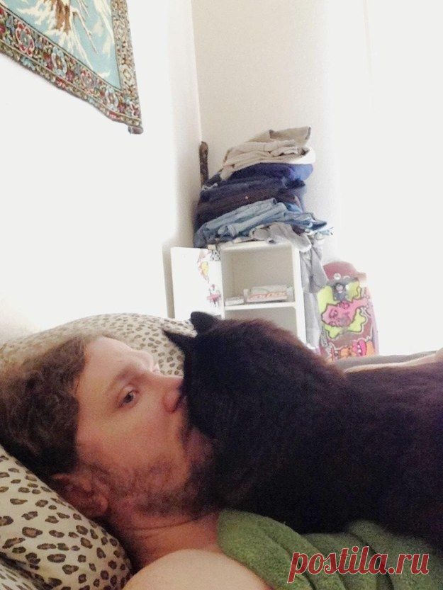 20 доказательств того, что кошка худший сосед по комнате / Питомцы