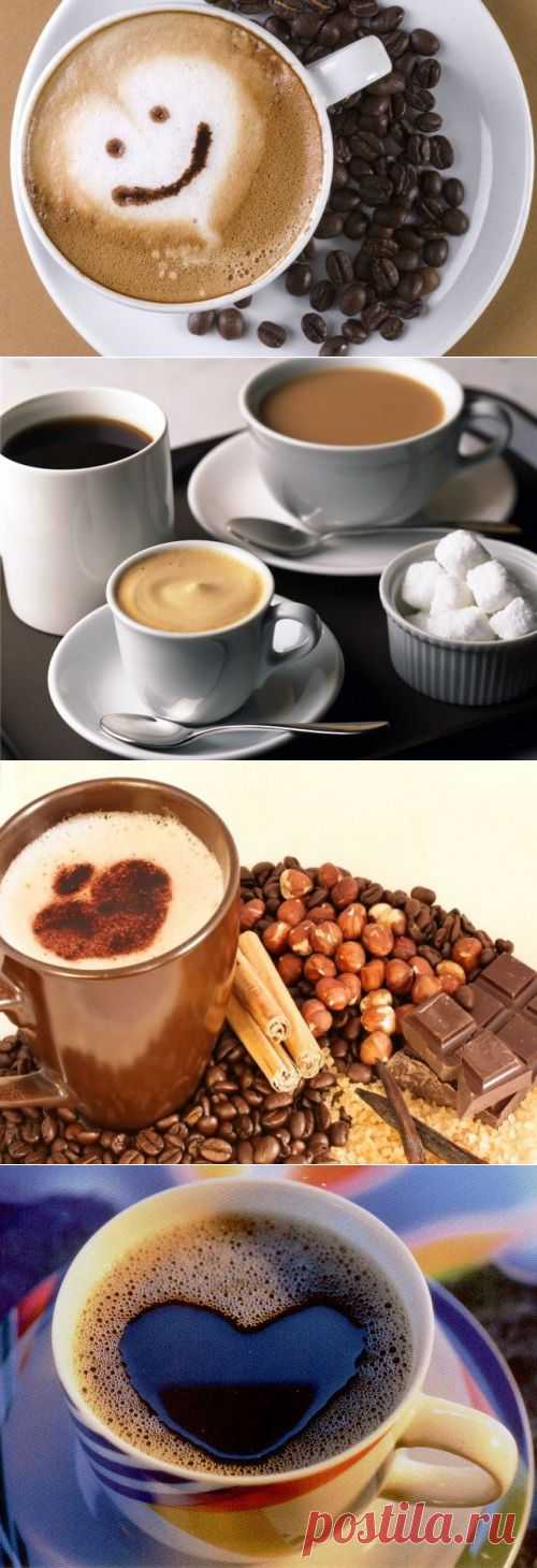 Как готовят кофе в разных странах мира / Простые рецепты