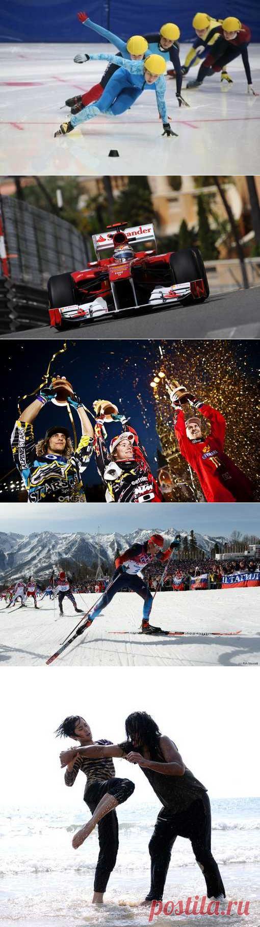 Ойна, Триатлон, Скелетон, Легкая атлетика. (1/1) - Спортивный форум. - Спортивный сайт