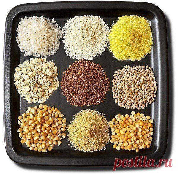 Рейтинг каш: | Хитрости жизни