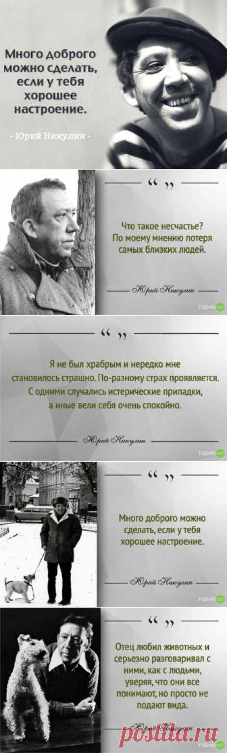 (+1) тема - 30 цитат Юрия Никулина | Полезные советы