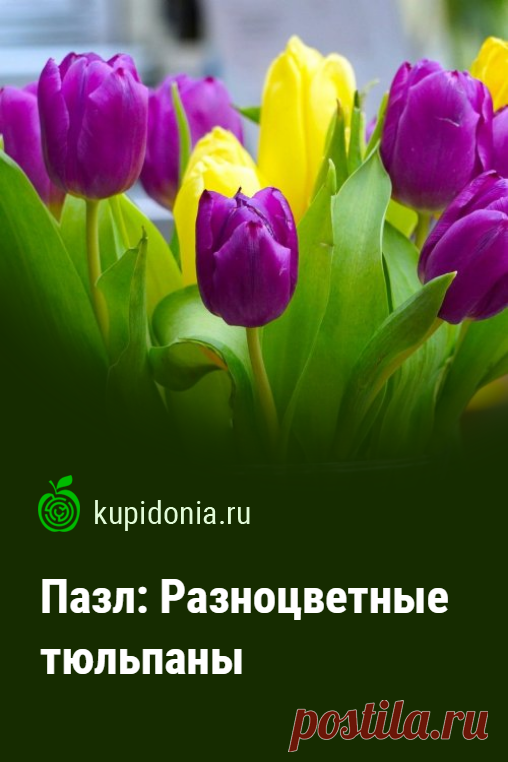 Пазл: Разноцветные тюльпаны. Красочный пазл с яркими разноцветными тюльпанами из серии «Пазлы с цветами онлайн». Собирай красивые пазлы онлайн.