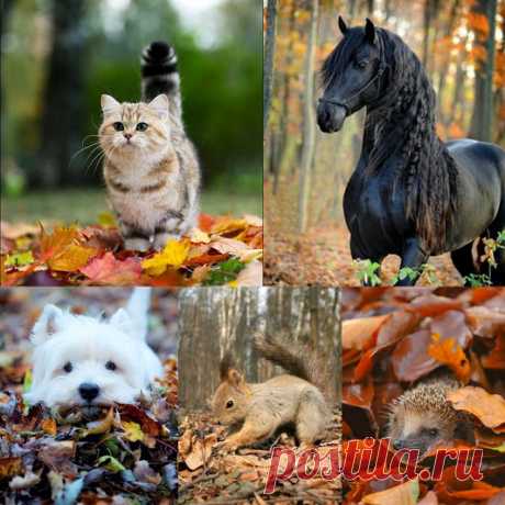 (18) Мой Мир@Mail.Ru
