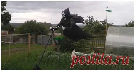 Огородное пугало как спонсор инфаркта воров и соседей Дачи и огороды довольно часто подвергаются нападкам птиц, способных практически мгновенно уничтожить урожай. Однако оригинально оформленное и в правильном месте установленное пугало способно не только напугать пернаты...