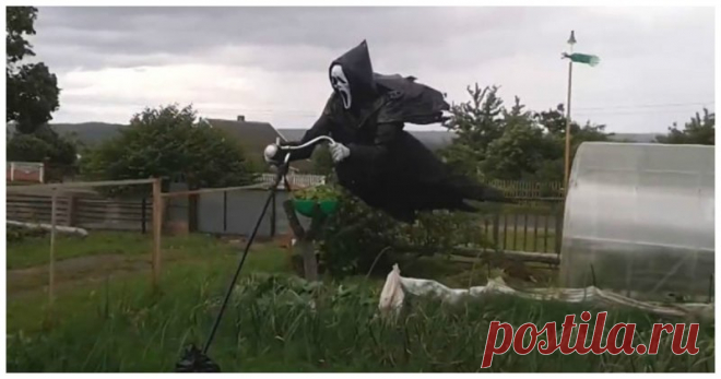 Огородное пугало как спонсор инфаркта воров и соседей Дачи и огороды довольно часто подвергаются нападкам птиц, способных практически мгновенно уничтожить урожай. Однако оригинально оформленное и в правильном месте установленное пугало способно не только напугать пернаты...