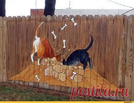 (5) Одноклассники