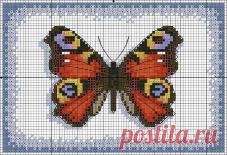 Подборка схем для вышивки бабочек. Схемы вышивки бабочек крестом |