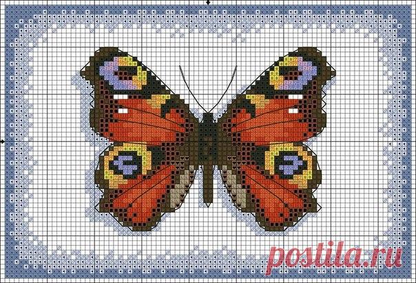 Подборка схем для вышивки бабочек. Схемы вышивки бабочек крестом |