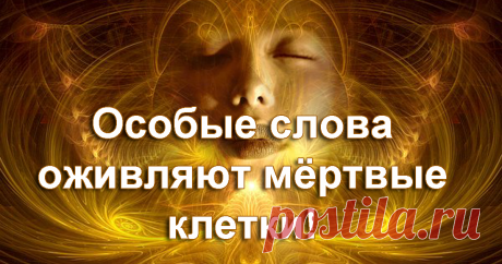 СЛОВА, КОТОРЫЕ ОЖИВЛЯЮТ МЕРТВЫЕ КЛЕТКИ... 
В ходе исследований ученые были поражены, какой огромной силой обладает слово. А также немыслимый эксперимент ученых по воздействию созидающей мысли на жестокость и насилие.
Как же им удалось этого д…