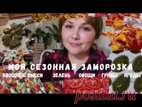 СЕЗОННАЯ ЗАМОРОЗКА НА ЗИМУ❄️ОВОЩИ, ЗЕЛЕНЬ, ГРИБЫ, ЯГОДЫ 🍒ЗАГОТОВКИ НА ЗИМУ🌿ЗАГОТОВКИ В МОРОЗИЛКУ