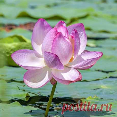 Редактировать описание